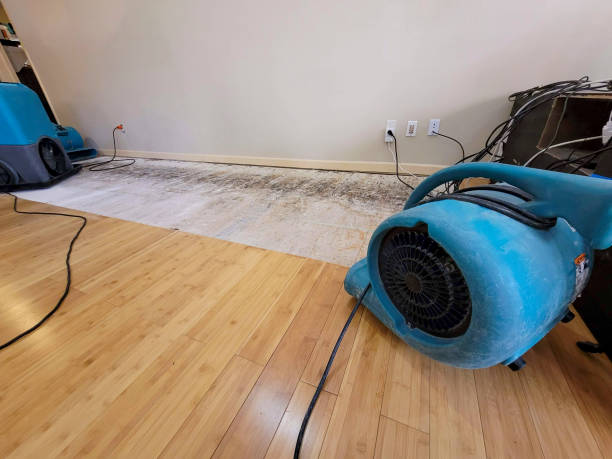 Professional Water Damage Repair technician working in Cloverdale, VA